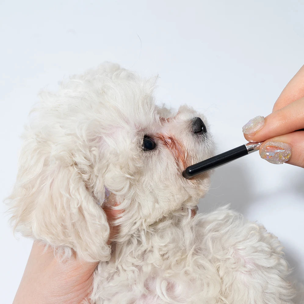 Pet Facial Cleaning Comb Set Tear Stain & Grooming Kit