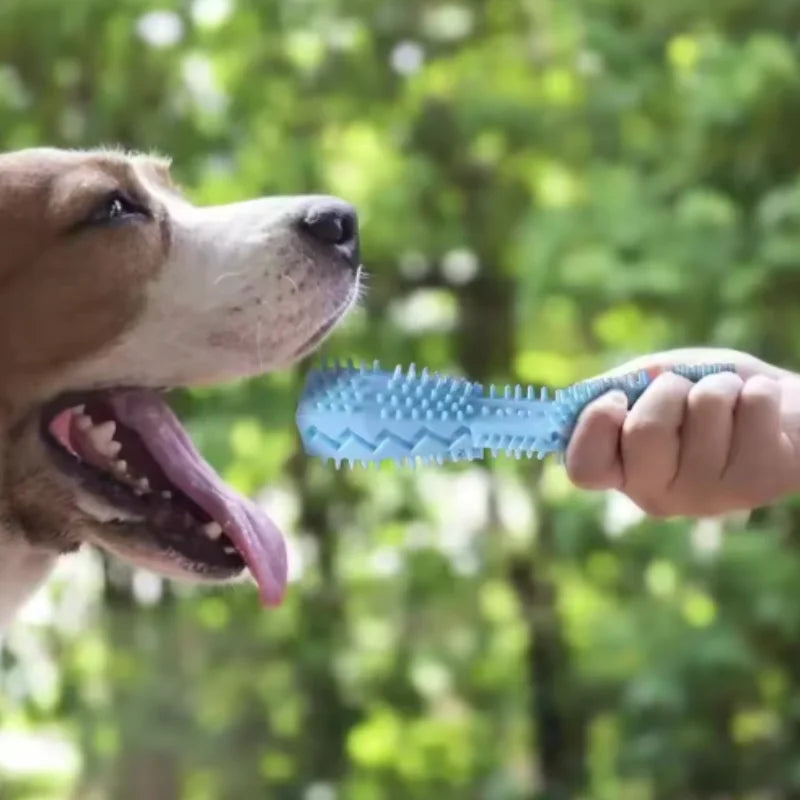 Dog Dental Chew Toy – TPR Toothbrush Teeth Cleaning Stick