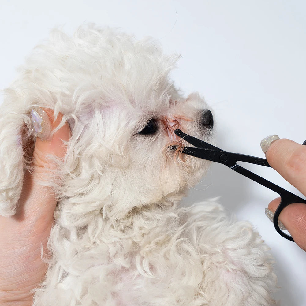 Pet Facial Cleaning Comb Set Tear Stain & Grooming Kit