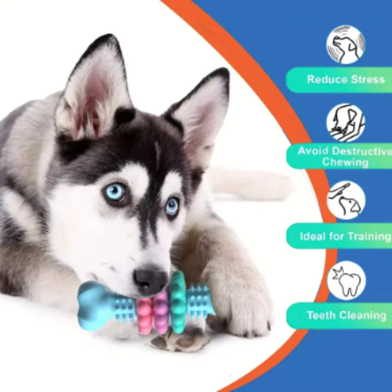 Dog Dental Chew Toy – TPR Toothbrush Teeth Cleaning Stick
