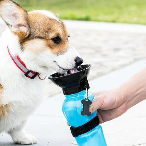 Portable Pet Water Bottle Leakproof Travel Drinking Cup
